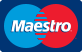maestro icon